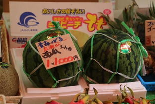 國產水果的文化價值 中日消費心理的分野